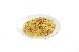 Salted_Fish Fried Rice_converted