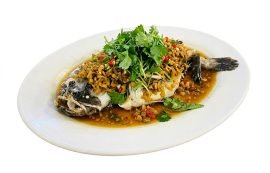 菜圃顺壳 (1)